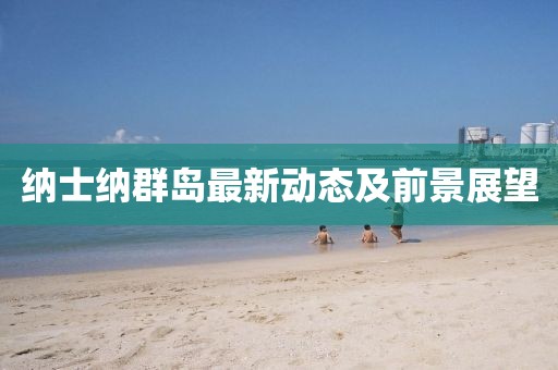 纳士纳群岛最新动态及前景展望