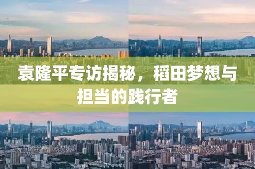袁隆平专访揭秘，稻田梦想与担当的践行者