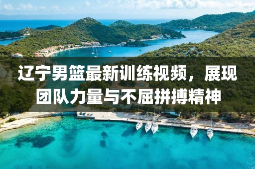 辽宁男篮最新训练视频，展现团队力量与不屈拼搏精神