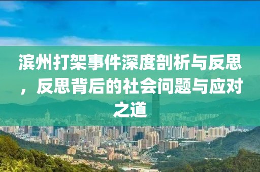 滨州打架事件深度剖析与反思，反思背后的社会问题与应对之道