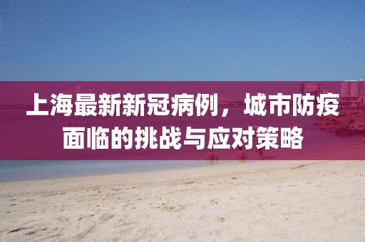 上海最新新冠病例，城市防疫面临的挑战与应对策略