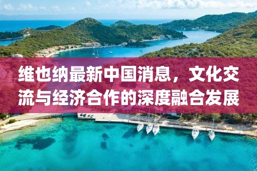 维也纳最新中国消息，文化交流与经济合作的深度融合发展