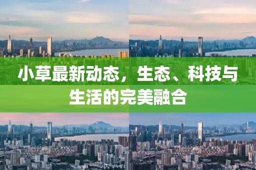 小草最新动态，生态、科技与生活的完美融合