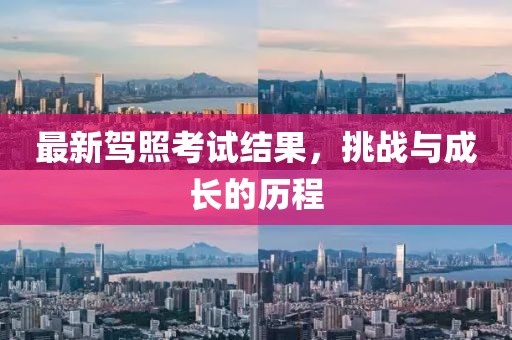 最新驾照考试结果，挑战与成长的历程