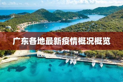 广东各地最新疫情概况概览