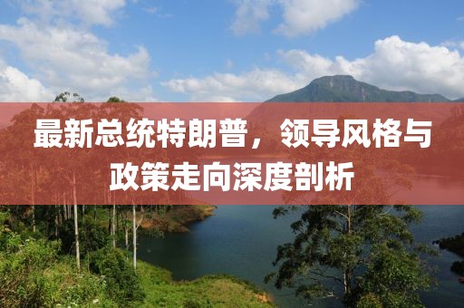 最新总统特朗普，领导风格与政策走向深度剖析