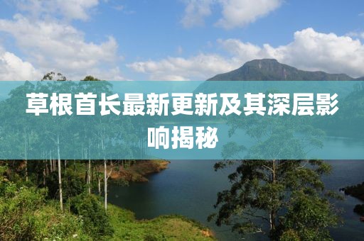 草根首长最新更新及其深层影响揭秘
