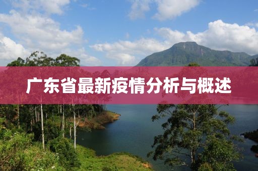 广东省最新疫情分析与概述