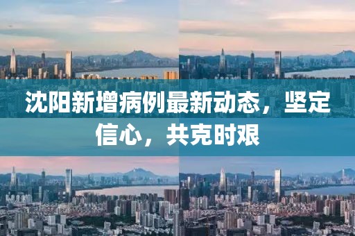 沈阳新增病例最新动态，坚定信心，共克时艰