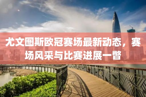 尤文图斯欧冠赛场最新动态，赛场风采与比赛进展一瞥