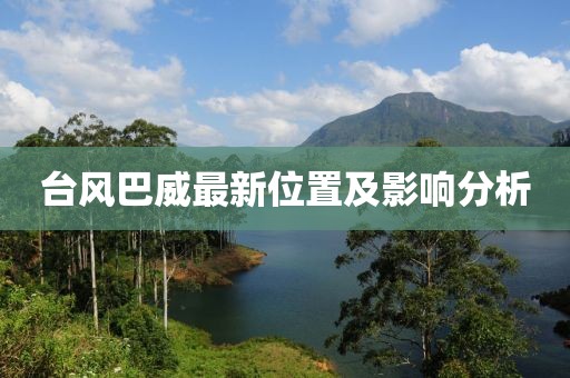 台风巴威最新位置及影响分析