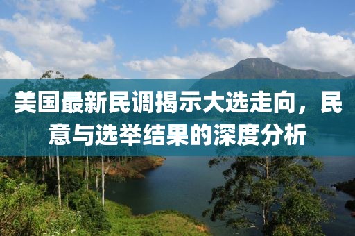 美国最新民调揭示大选走向，民意与选举结果的深度分析