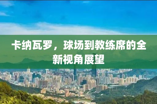 卡纳瓦罗，球场到教练席的全新视角展望