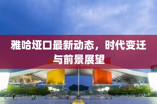 雅哈垭口最新动态，时代变迁与前景展望