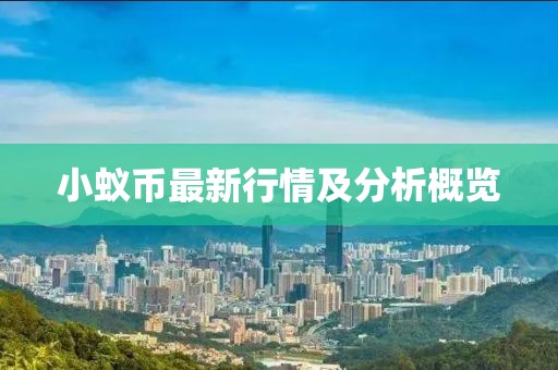 小蚁币最新行情及分析概览