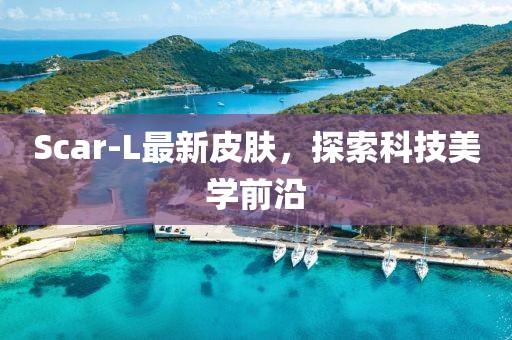 Scar-L最新皮肤，探索科技美学前沿