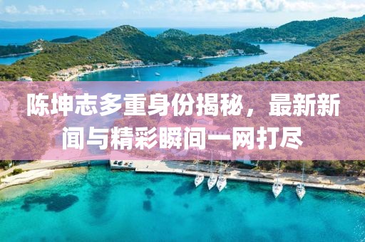 陈坤志多重身份揭秘，最新新闻与精彩瞬间一网打尽