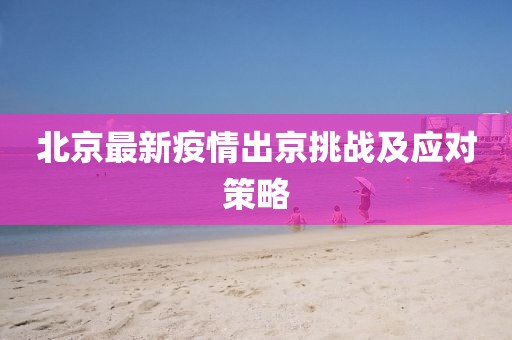 北京最新疫情出京挑战及应对策略