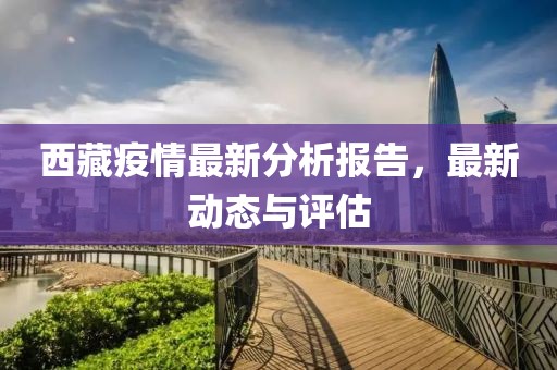 西藏疫情最新分析报告，最新动态与评估