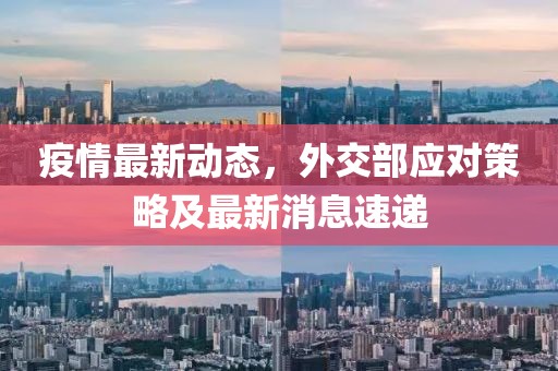疫情最新动态，外交部应对策略及最新消息速递