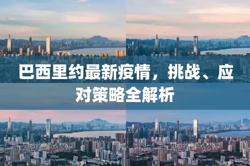 巴西里约最新疫情，挑战、应对策略全解析
