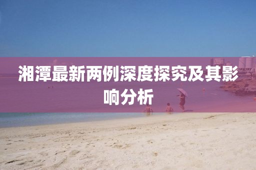 湘潭最新两例深度探究及其影响分析