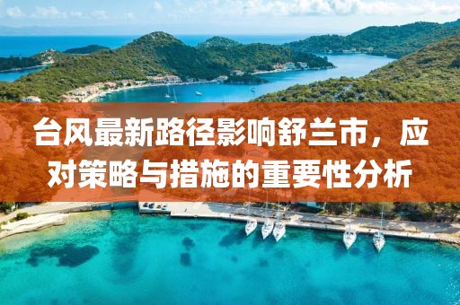 台风最新路径影响舒兰市，应对策略与措施的重要性分析