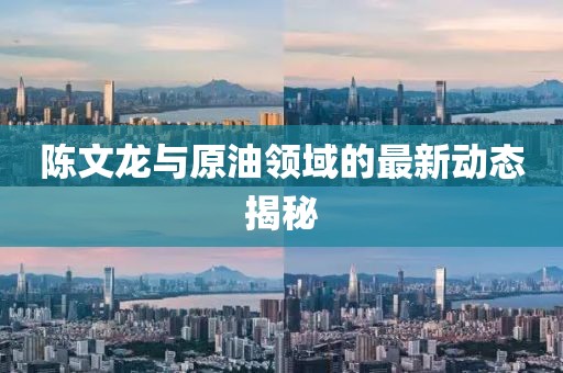 陈文龙与原油领域的最新动态揭秘