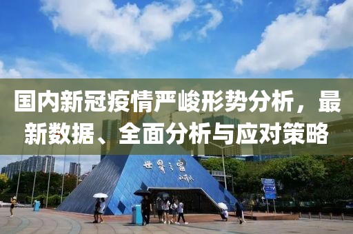 国内新冠疫情严峻形势分析，最新数据、全面分析与应对策略