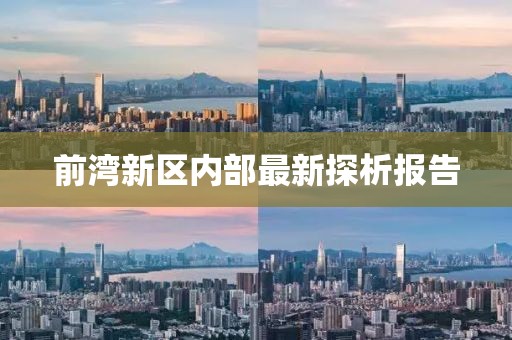 前湾新区内部最新探析报告
