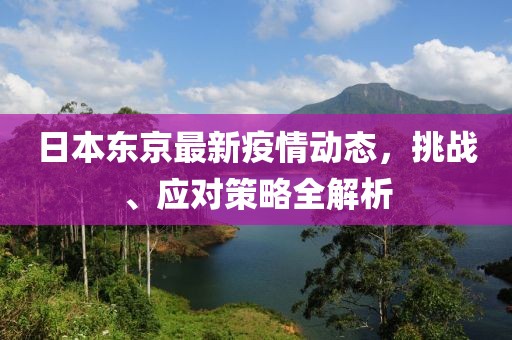 日本东京最新疫情动态，挑战、应对策略全解析