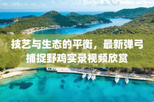 技艺与生态的平衡，最新弹弓捕捉野鸡实录视频欣赏