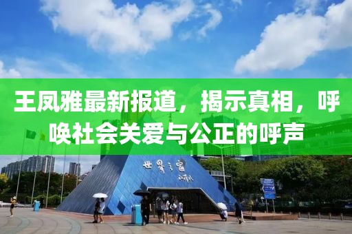 王凤雅最新报道，揭示真相，呼唤社会关爱与公正的呼声