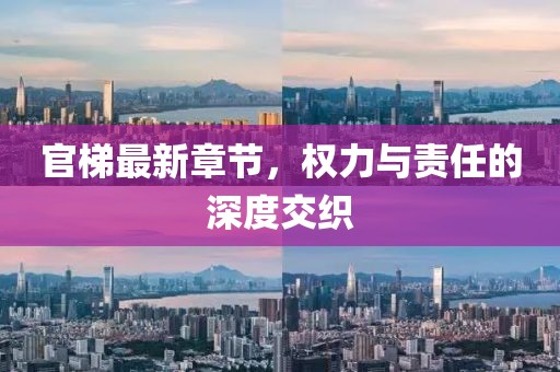 官梯最新章节，权力与责任的深度交织