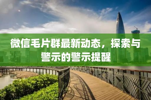微信毛片群最新动态，探索与警示的警示提醒