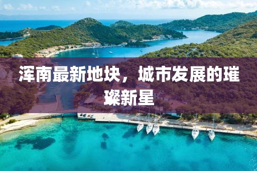 浑南最新地块，城市发展的璀璨新星