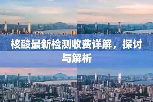 核酸最新检测收费详解，探讨与解析
