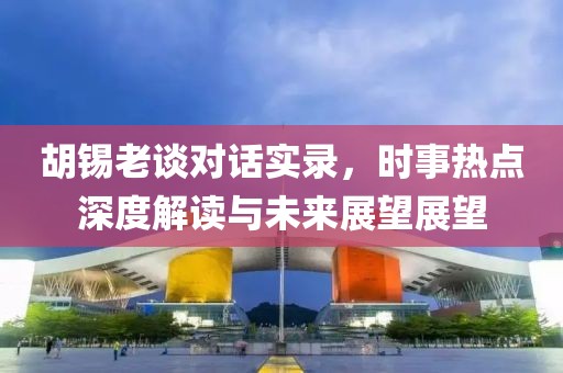 胡锡老谈对话实录，时事热点深度解读与未来展望展望