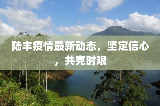 陆丰疫情最新动态，坚定信心，共克时艰