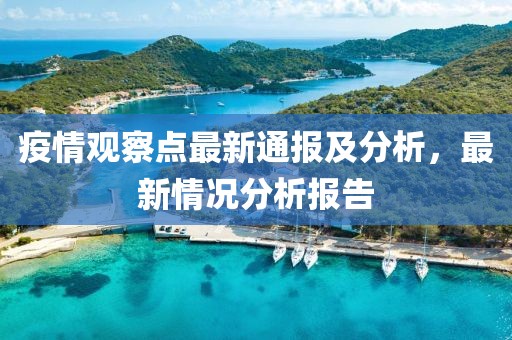 疫情观察点最新通报及分析，最新情况分析报告