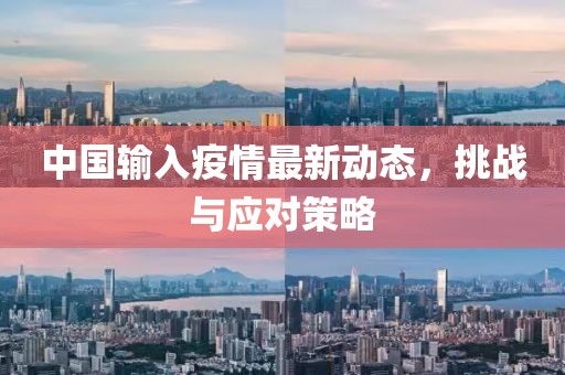中国输入疫情最新动态，挑战与应对策略