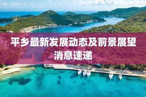 平乡最新发展动态及前景展望消息速递