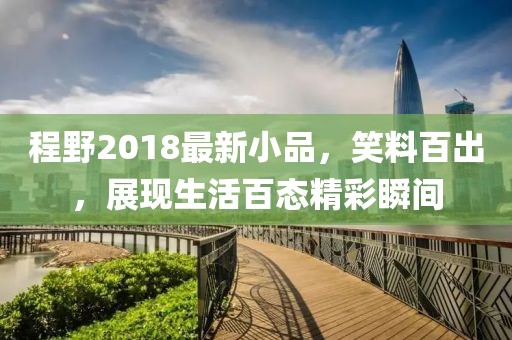程野2018最新小品，笑料百出，展现生活百态精彩瞬间