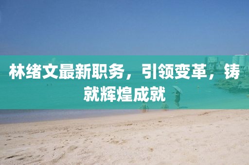 林绪文最新职务，引领变革，铸就辉煌成就