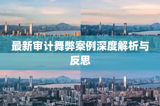 最新审计舞弊案例深度解析与反思