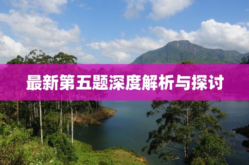 最新第五题深度解析与探讨