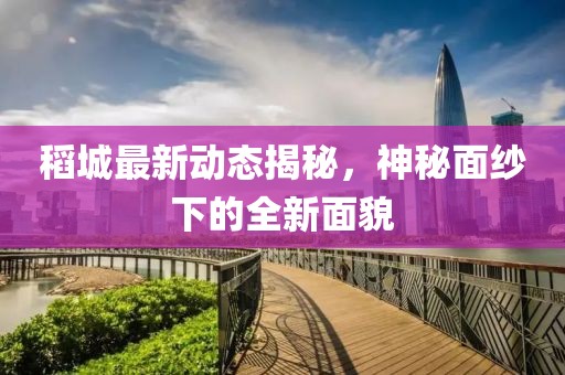 稻城最新动态揭秘，神秘面纱下的全新面貌
