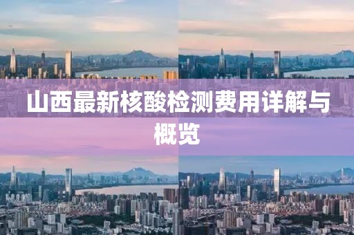 山西最新核酸检测费用详解与概览