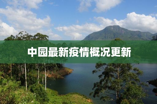 中园最新疫情概况更新