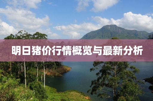 明日猪价行情概览与最新分析